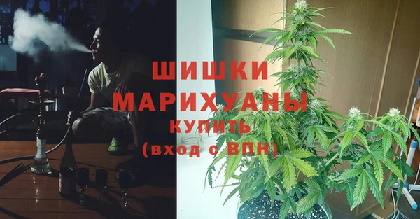 Альфа ПВП Арсеньев